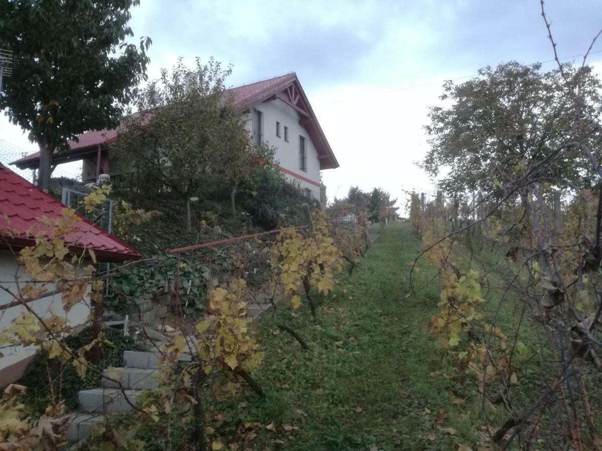 Penzion Nad Jezerem Pavlov Dış mekan fotoğraf